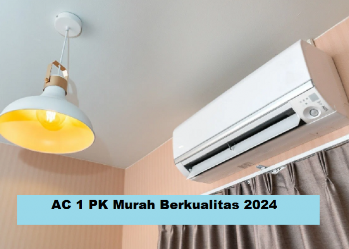 7 Rekomendasi AC 1 PK Murah Berkualitas 2024, Teknologi Terbarunya Bikin Semakin Betah di Rumah