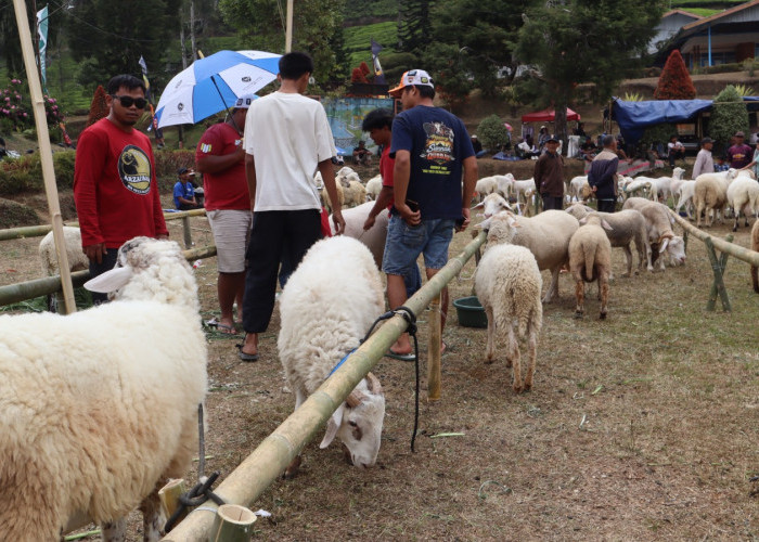 Sakub Kaligua Festival 2026 Dorong Pariwisata dan Ekonomi Warga Brebes Selatan