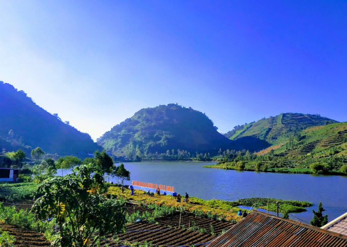 6 Pesona Desa Wisata Tertinggi di Jawa Tengah, Serasa Berada di Negeri di Atas Awan