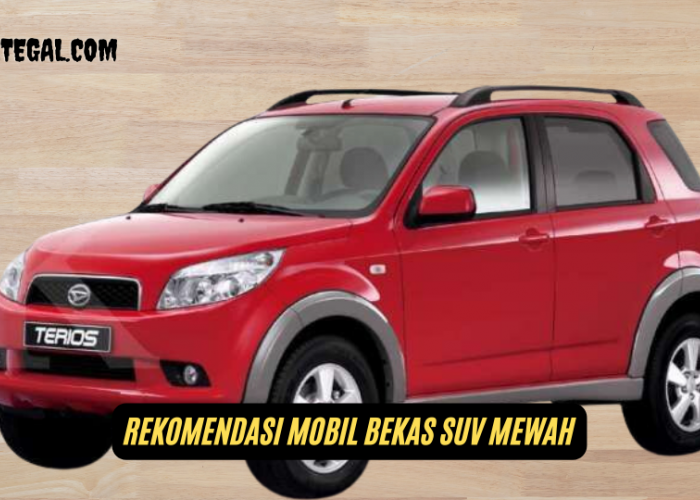 Masih Mewah, Ini Rekomendasi Mobil Bekas SUV Harga Minim