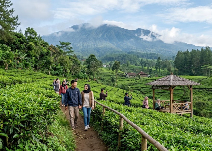 10 Wisata Sejuk di Pemalang Terbaik 2026, Cocok untuk Liburan Akhir Pekan