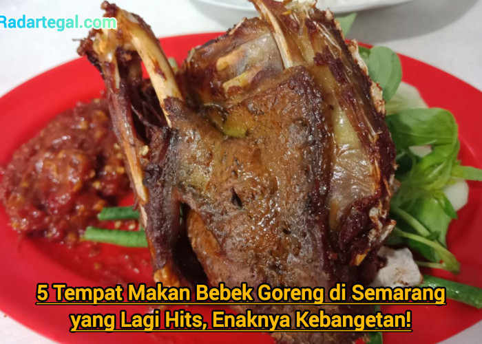 5 Tempat Makan Bebek Goreng di Semarang yang Lagi Hits, Enaknya Kebangetan!