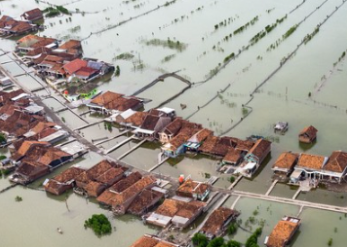 Asa Warga Desa Timbulsloko Jawa Tengah, Kawasan yang Kini Tenggelam Akibat Perubahan Iklim