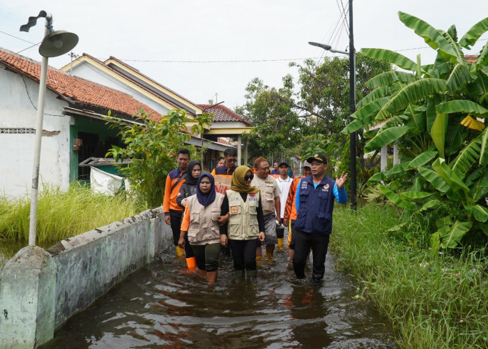 Banjir di Tegal Mulai Surut, 80 Warga Masih Bertahan di Pengungsian