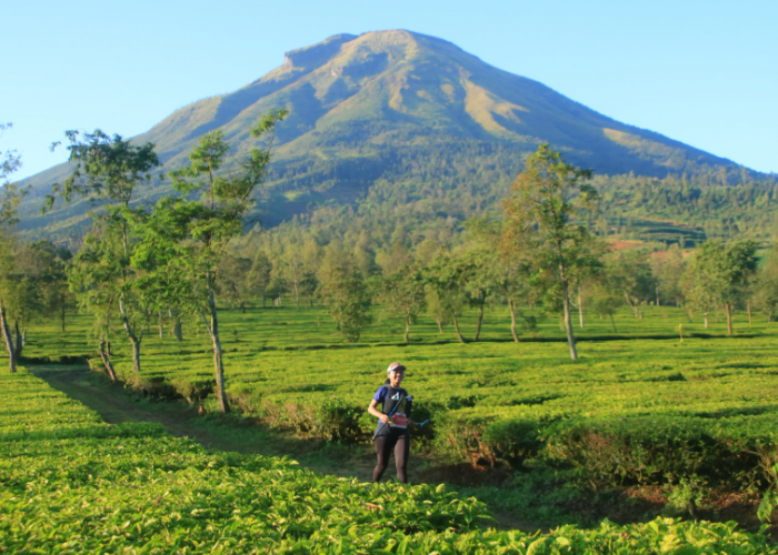 5 Tempat Wisata Jawa Tengah yang Sejuk, Perfect Buat Healing dari Panasnya Kota!