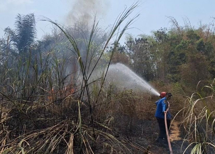Ngeri! Kebakaran Lahan di Lebaksiu Tegal, Api Nyaris Sambar Pusat Genteng Pandawa Raya