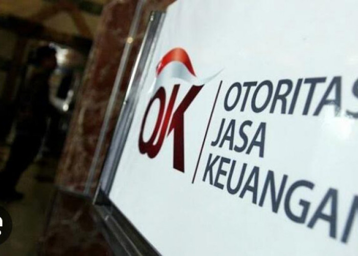 Terbaru! OJK Blokir 1.484 Layanan Pinjol Ilegal, Begini Kata Friderica