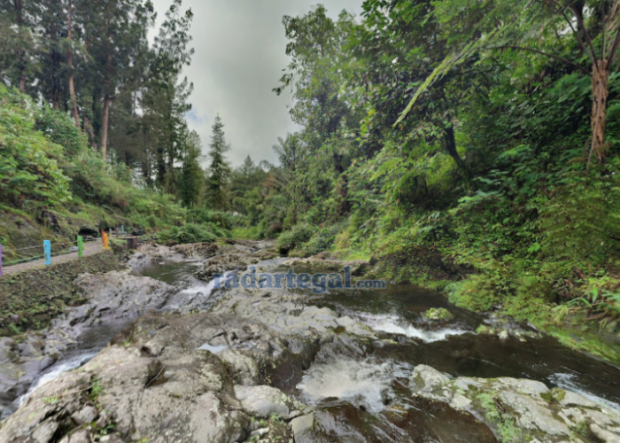 10 Pilihan Wisata Alam Terbaik di Purwokerto, Surga Alam di Lereng Gunung Slamet