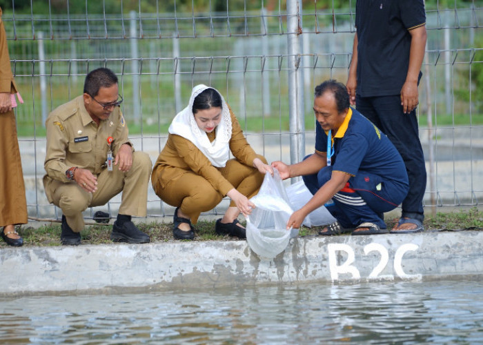 November Capai 261.945 Ekor, Tren Produktivitas Balai Benih Ikan Brebes Positif  