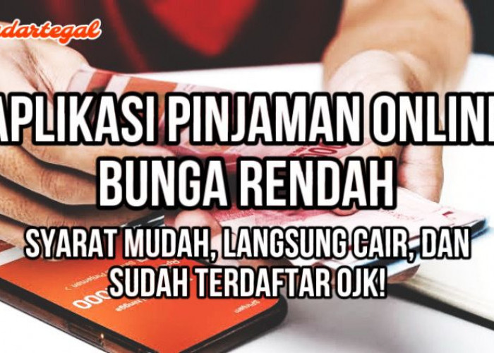 5 Daftar Aplikasi Pinjaman Online Bunga Rendah, Syarat Mudah dan Langsung Cair Cuy!