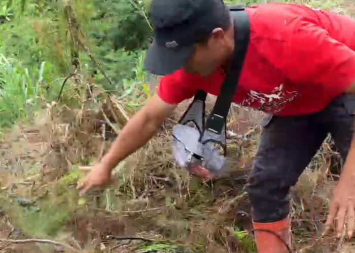 Video Relawan Temukan Kayu Gelondongan di Brebes Viral