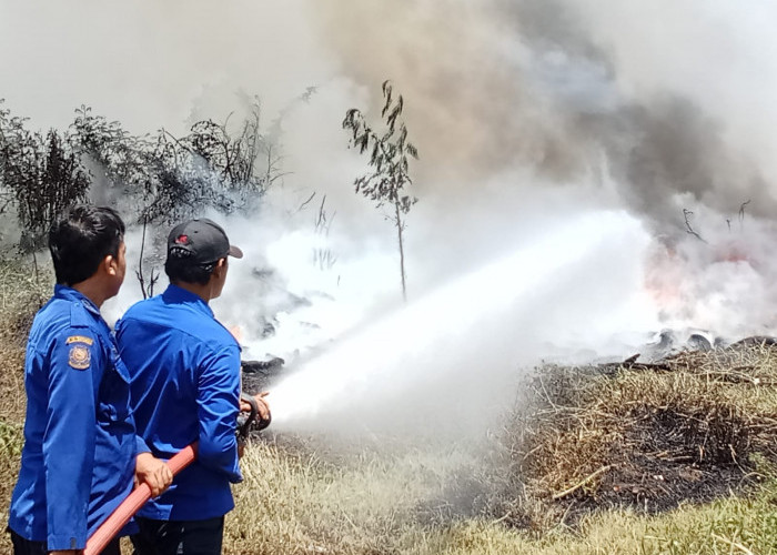 Kebakaran di Kabupaten Tegal Capai 130 Kasus, Terjadi Mulai dari Januari-Oktober 2024 