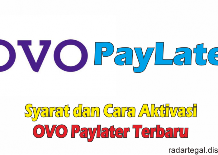 Syarat dan Cara Aktivasi OVO Paylater Terbaru 2023, Nikmati Keuuntungan Belanja hingga Transaksi Sepuasnya 