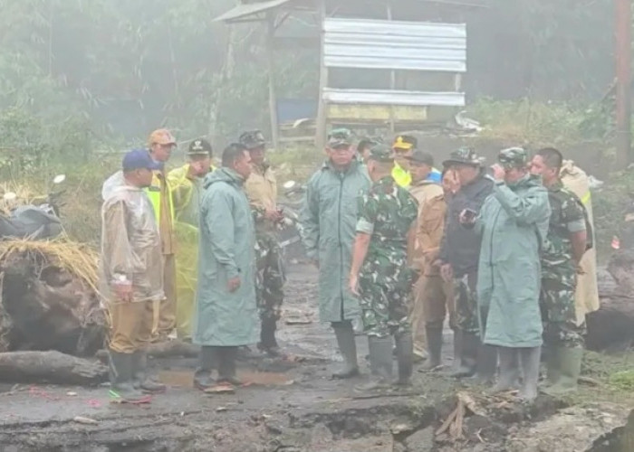 Pangdam IV/Diponegoro Tinjau Lokasi Terdampak Banjir Bandang dan Tanah Longsor di Pemalang