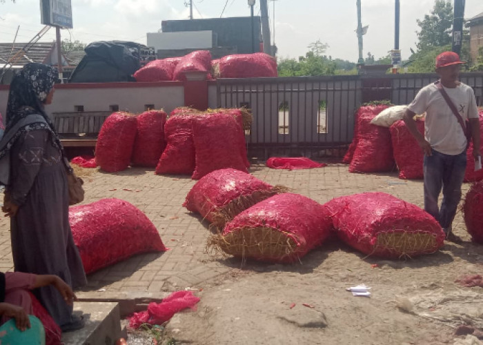 Harga Cabai Merah di Brebes Anjlok! Dihargai Rp5 Ribu per Kilogram