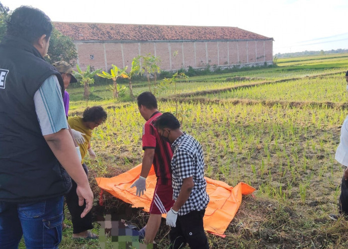 Mayat Tanpa Identitas Ditemukan di Irigasi Bojongsari Brebes