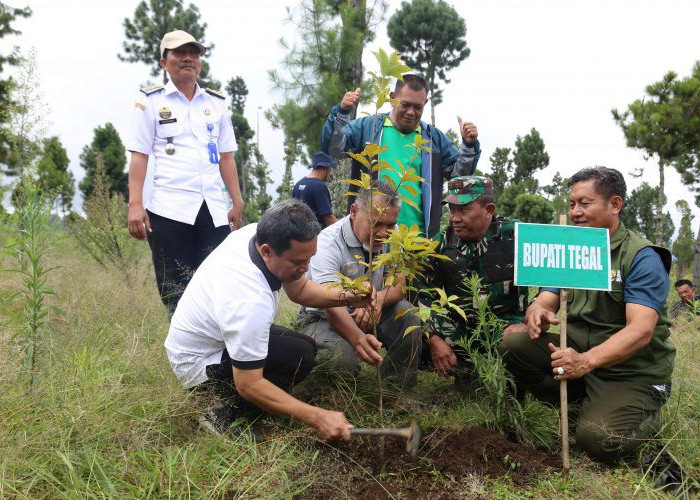 Pulihkan Hutan Lindung, 136 Ribu Pohon Endemik Ditanam di Lereng Gunung Slamet