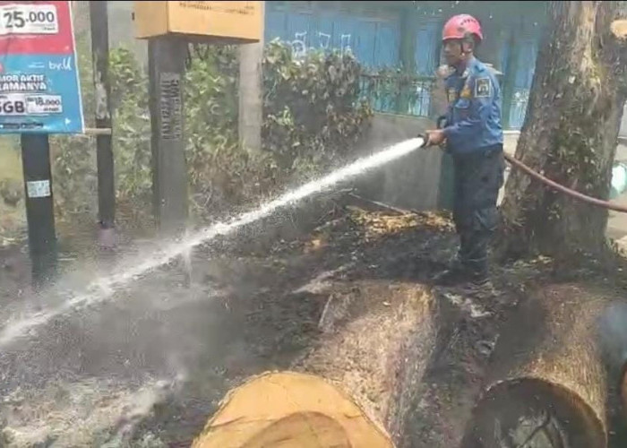 Bakar Sampah Sembarangan, Trafo Listrik di Adiwerna Tegal Nyaris Meledak!