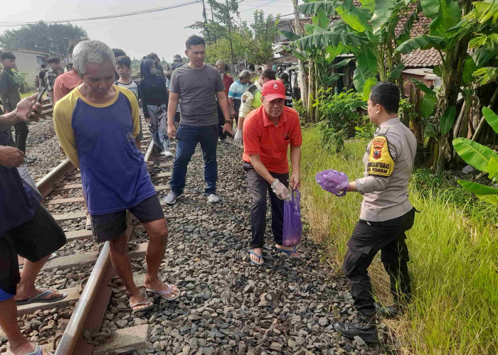 Tragis! Warga Petarukan Meninggal Tertabrak KA Kamandaka saat Hendak Ambil Mangga Jatuh