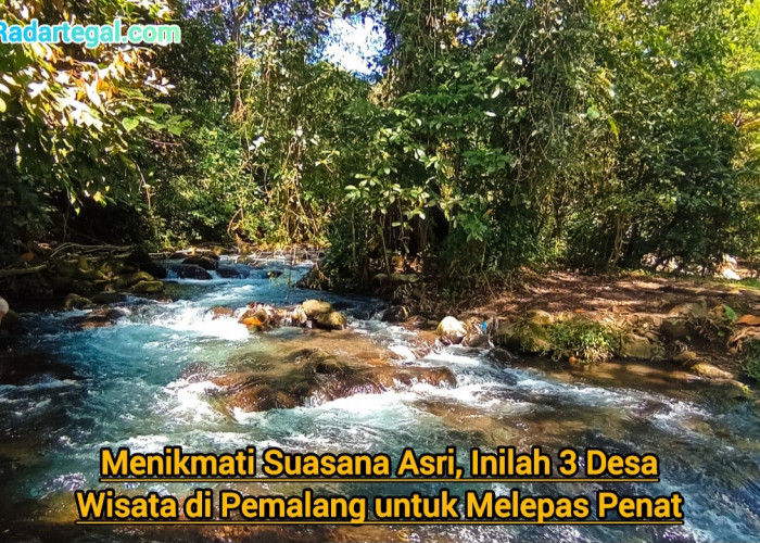 Menikmati Suasana Asri, Inilah 3 Desa Wisata di Pemalang untuk Melepas Penat