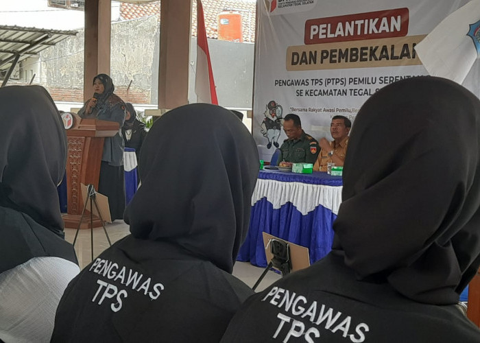 Dilantik, 763 Pengawas TPS Pemilu 2024 Kota Tegal Dilarang Mematikan Hanphone, Bawaslu: Haram Hukumnya