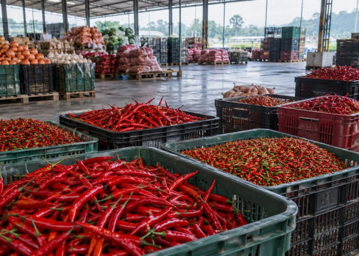 Ketika Harga Pangan Menjadi Beban bagi Masyarakat Kecil