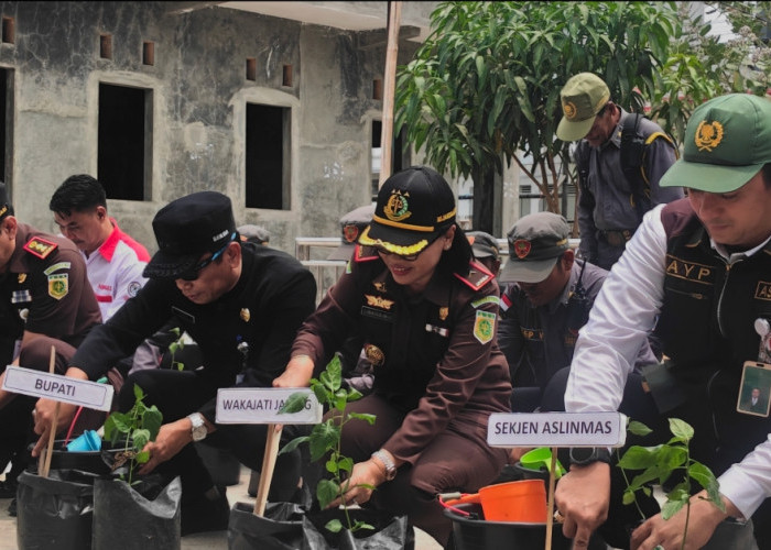 Satlinmas di Brebes Terima Bantuan 1.000 Bibit Cabai dari Kejaksaan Agung
