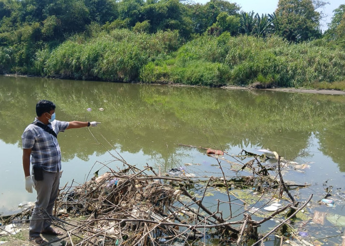 Penemuan Mayat di Sungai Pemali Gegerkan Warga Pesantunan Wanasari Brebes
