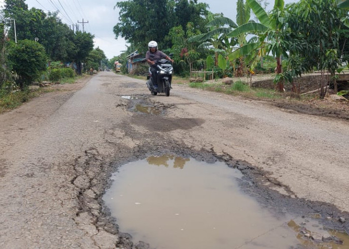 Penuh Lubang, Jalan Penghubung 2 Kecamatan di Pantura Tegal Rusak 