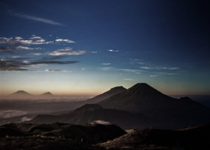 Mitos Gunung Prau: Benarkah Oyot Rimpang sebagai Portal ke Dimensi Lain?