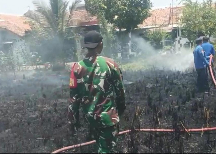 Lahan Dekat Palm Asri 2 Dukuhwaru Tegal Terbakar, Warga Pedagangan Was-was