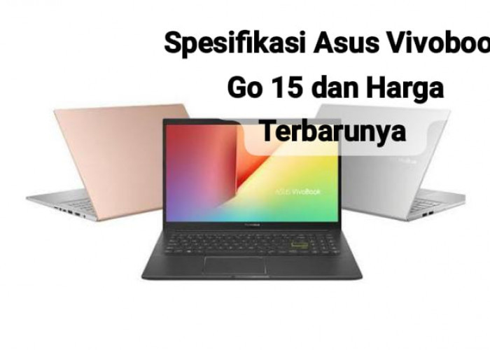 Spesifikasi Asus Vivobook Go 15 OLED, Laptop Modern untuk Mahasiswa dengan Harga yang Murah