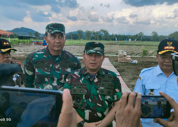 Manfaatkan Lahan Tidur di Brebes Seluas 11,6 Hektar, Kodim 0713 Bangun Unit Kompi Produksi