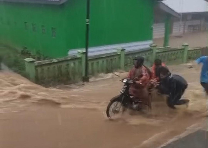 Bencana Jatinegara Tegal: Tanah Bergerak, Longsor, dan Jembatan Retak Ancam Warga