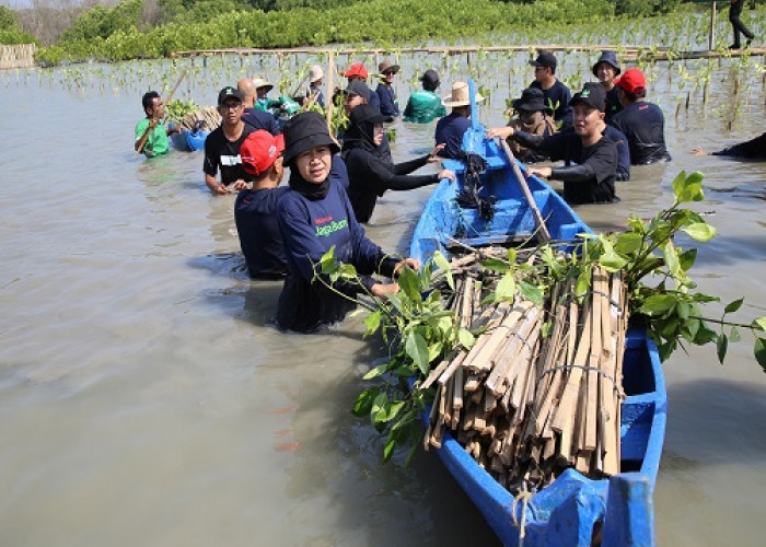 Jaga Bumi, 15.060 Pohon Ditanam Telkomsel di Kawasan Hutan Mangrove Indonesia