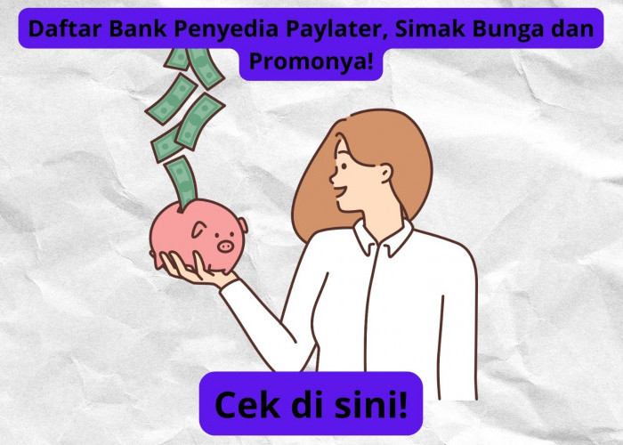 Daftar Bank yang Menyediakan Layanan Paylater, Dapatkan Informasi Terbaru tentang Bunga dan Promonya