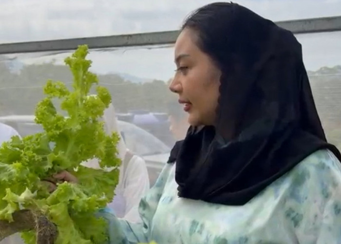Ubah Citra Petani, Bupati Brebes Mitha Gaungkan Pertanian Modern