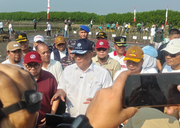 Kunjungan ke Brebes, Menteri Lingkungan Hidup Tanam Mangrove di Pantai Randusanga Indah