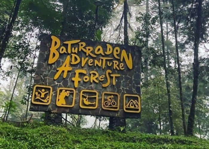 Seru Banget! Ini 5 Spot Terbaik Area Piknik Keluarga di Baturraden