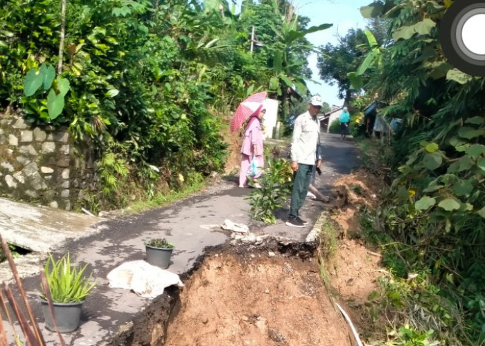 Bencana Tanah Longsor Terjadi di Paguyangan Brebes, Jalan Amblas Sepanjang 17 Meter 