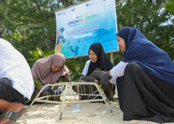Jaga Ekosistem Laut Tetap Lestari, BRI Lakukan Aksi Nyata dalam Menanam - Grow & Green 
