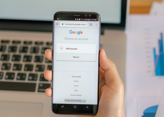 Dapat Bayaran Rp500 Ribu Sehari dari Google Lewat Cara Ini, Mudah Bisa Pakai HP Saja