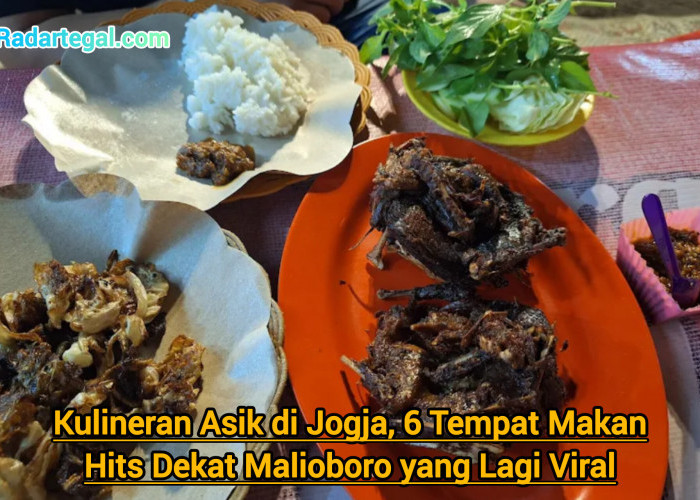 Kulineran Asik di Jogja, 6 Tempat Makan Hits Dekat Malioboro yang Lagi Viral