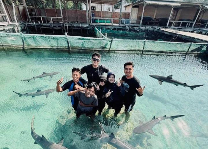 Dalami Ekowisata dan Konservasi, Mahasiswa MSDP UPS Tegal KKL di Karimunjawa