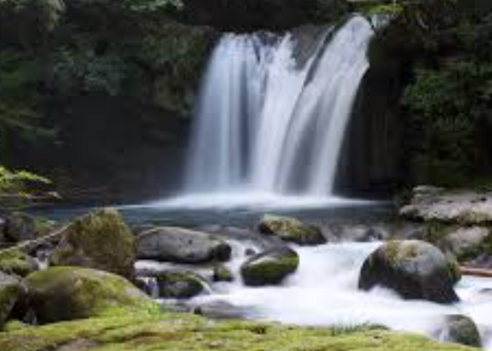 4 Spot Wisata Alam Murah di Purwokerto, Asyik dan Nggak Bikin Kantong Kering