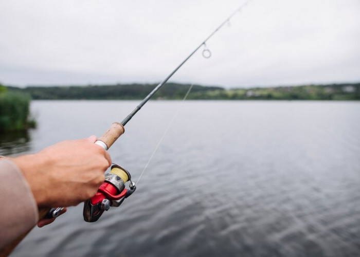 4 Spot Mancing Terbaik di Tegal dengan Suasana yang Nyaman