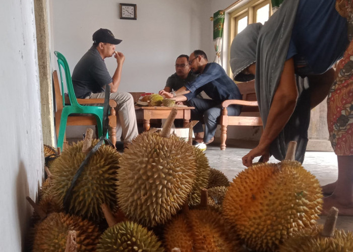 Mencicipi Buah Durian Lokal Kalijurang Brebes, Manis Legit dengan Harga Ramah Ekonomi Sulit 