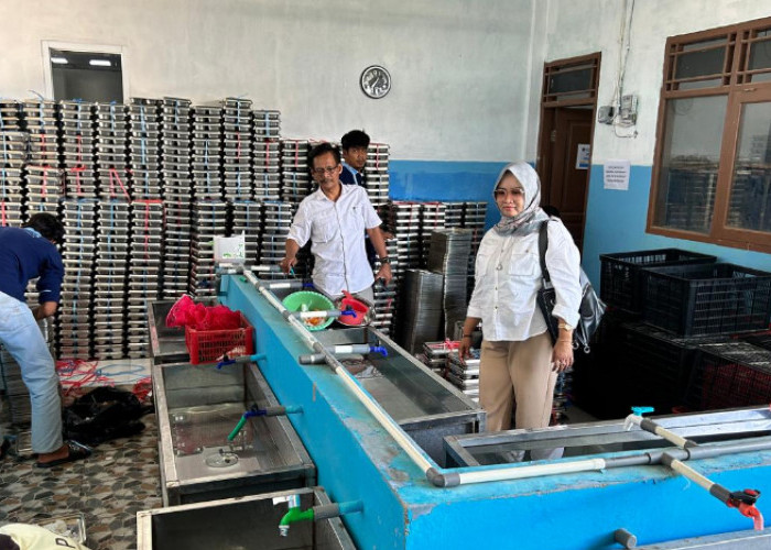 Pastikan Kesiapan, DPRD Pantau SPPG MBG di Brebes