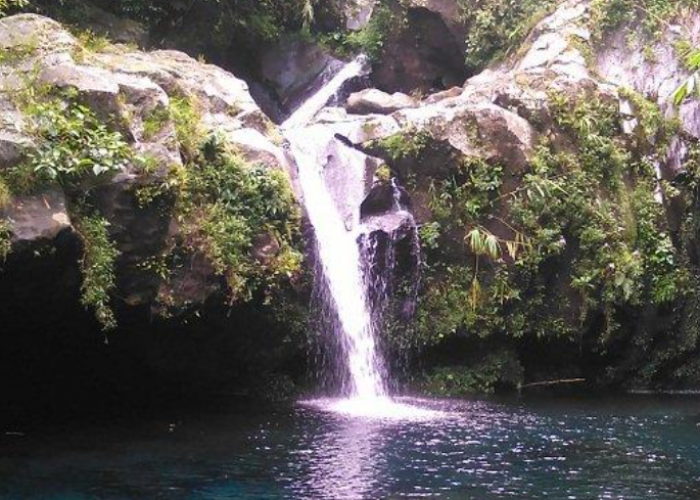 7 Rekomendasi Tempat Healing di Purwokerto yang Adem dan Bikin Betah