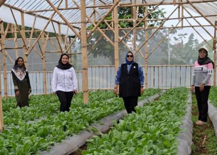 Perempuan Nasabah PNM Mekaar di Bandung Barat Kembangkan Usaha lewat Sinergi Ultra Mikro 